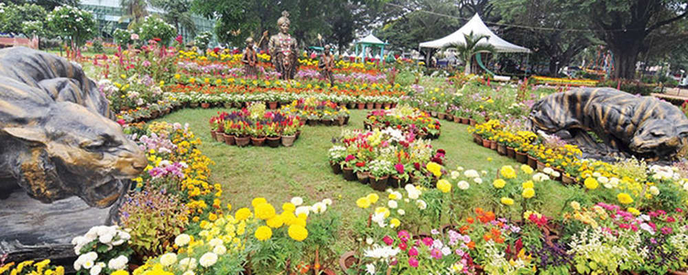Dasara Flower Show
